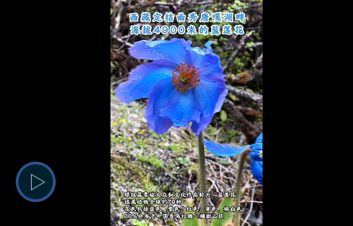 企业微信截图_20260620223839.png