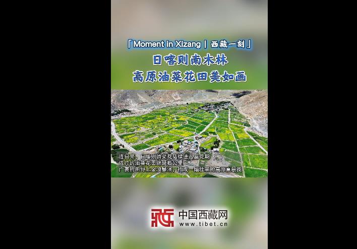 360截图20260730164235456.jpg