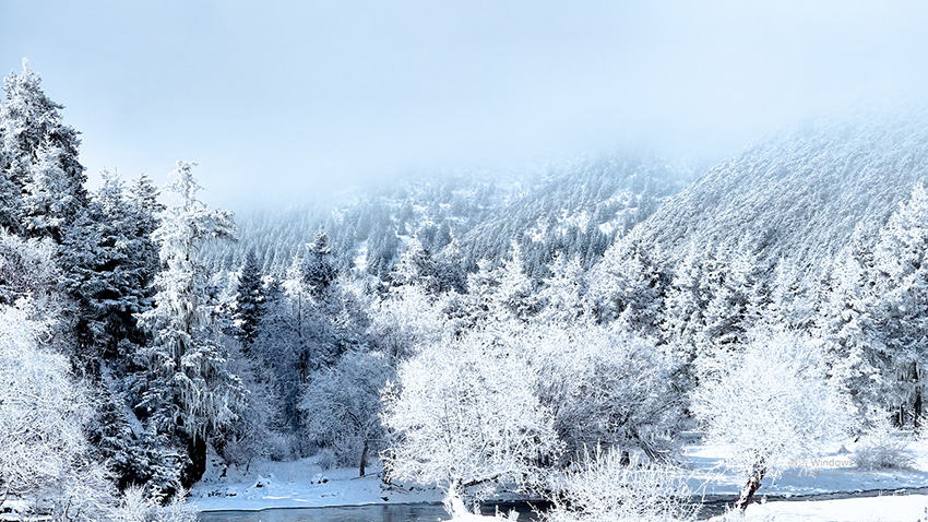 雪后普达措银装素裹，美不胜收。普达措景区供图