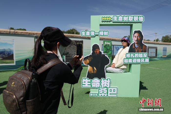 青海德令哈：游客在《生命树》取景地沉浸打卡